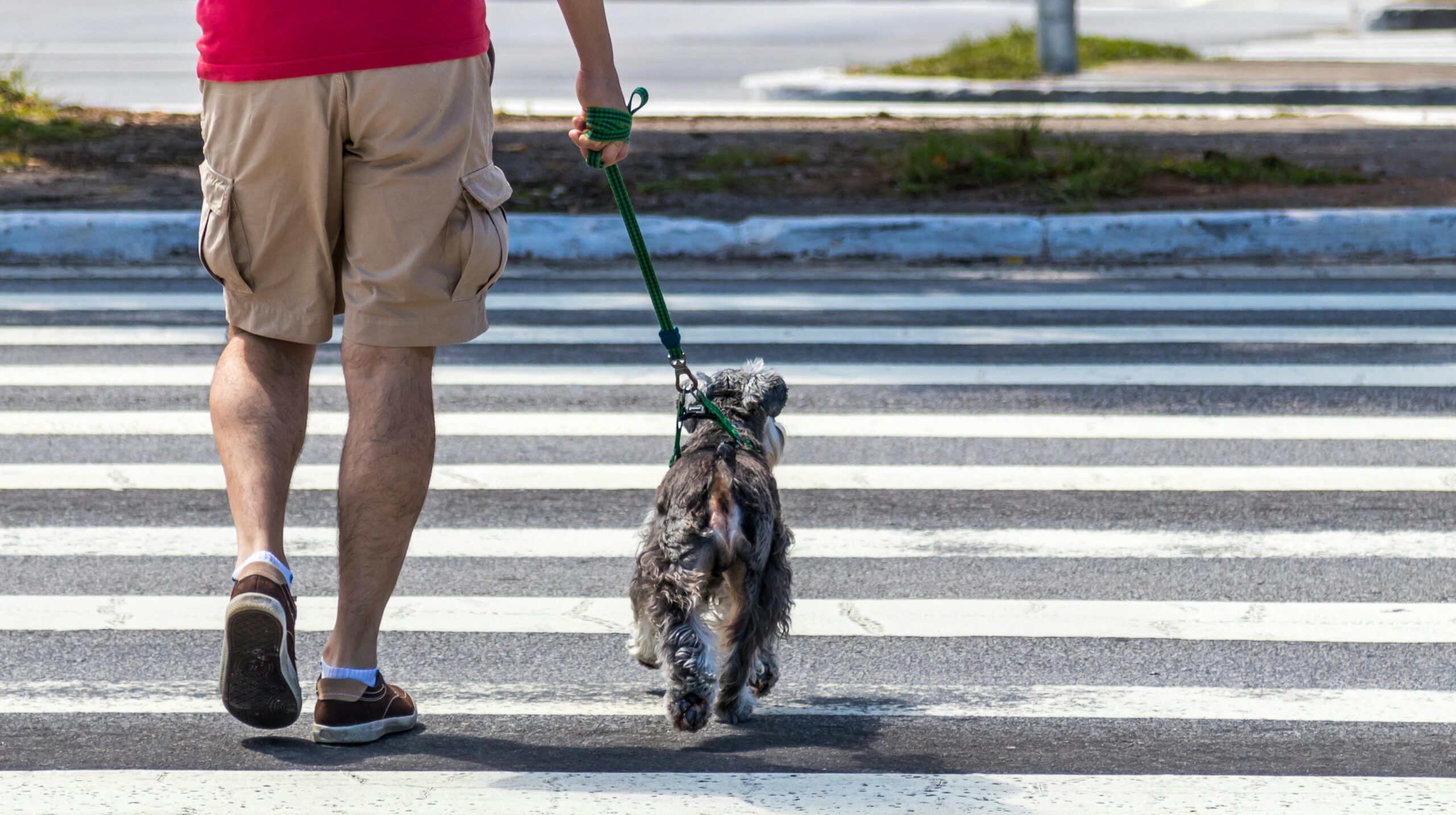 walk