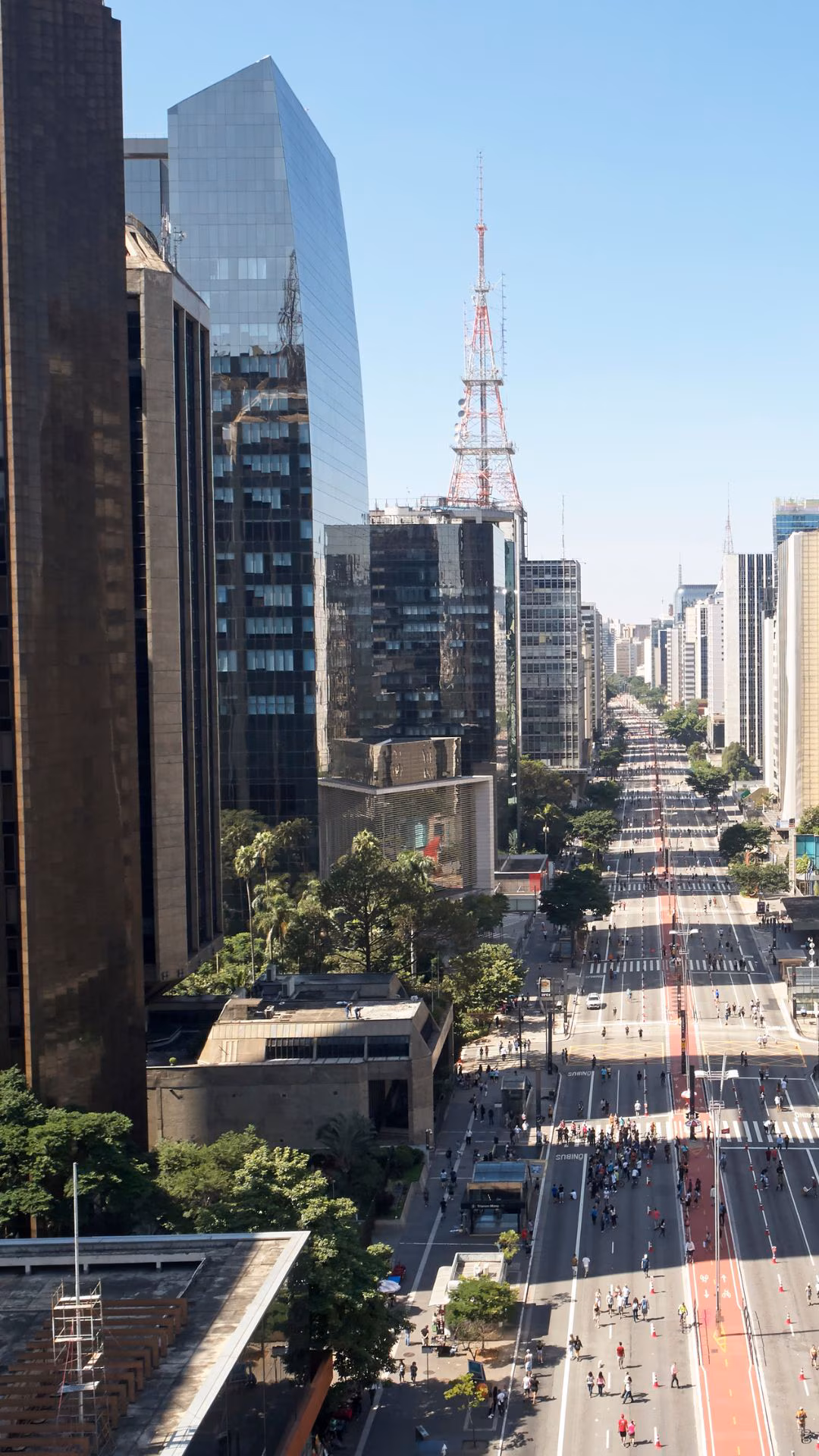 regiões de atendimento adestramento